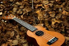 Welcome to Uke Group North